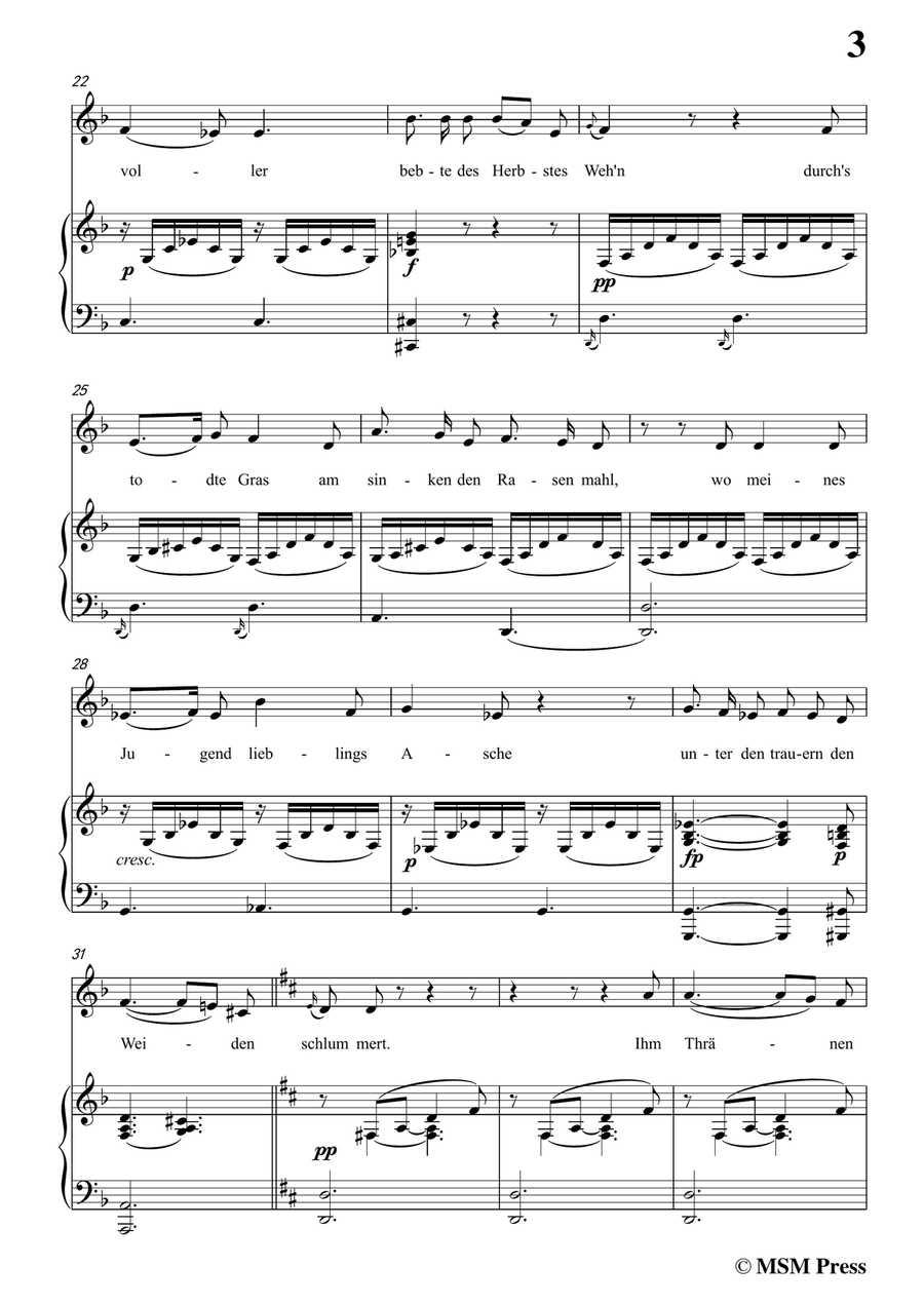 Schubert-Todtenopfer,in d minor,for Voice&Piano by Franz Schubert Piano, Vocal - Digital Sheet Music page 5