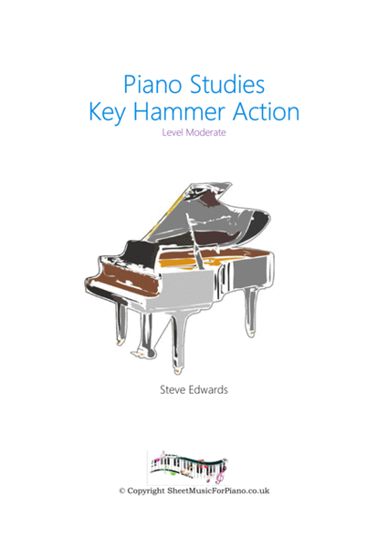 Piano Key Hammer Action - Piano Study image number null