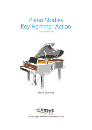 Piano Key Hammer Action - Piano Study