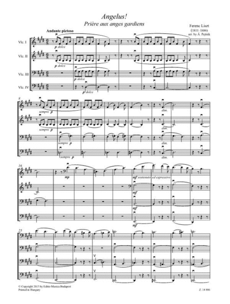 Chamber Music for/ Kammermusik für Violoncelli 15