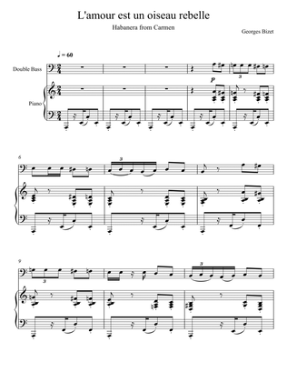 Georges Bizet- Habanera "L’amour est un oiseau rebelle" (Double Bass Solo)