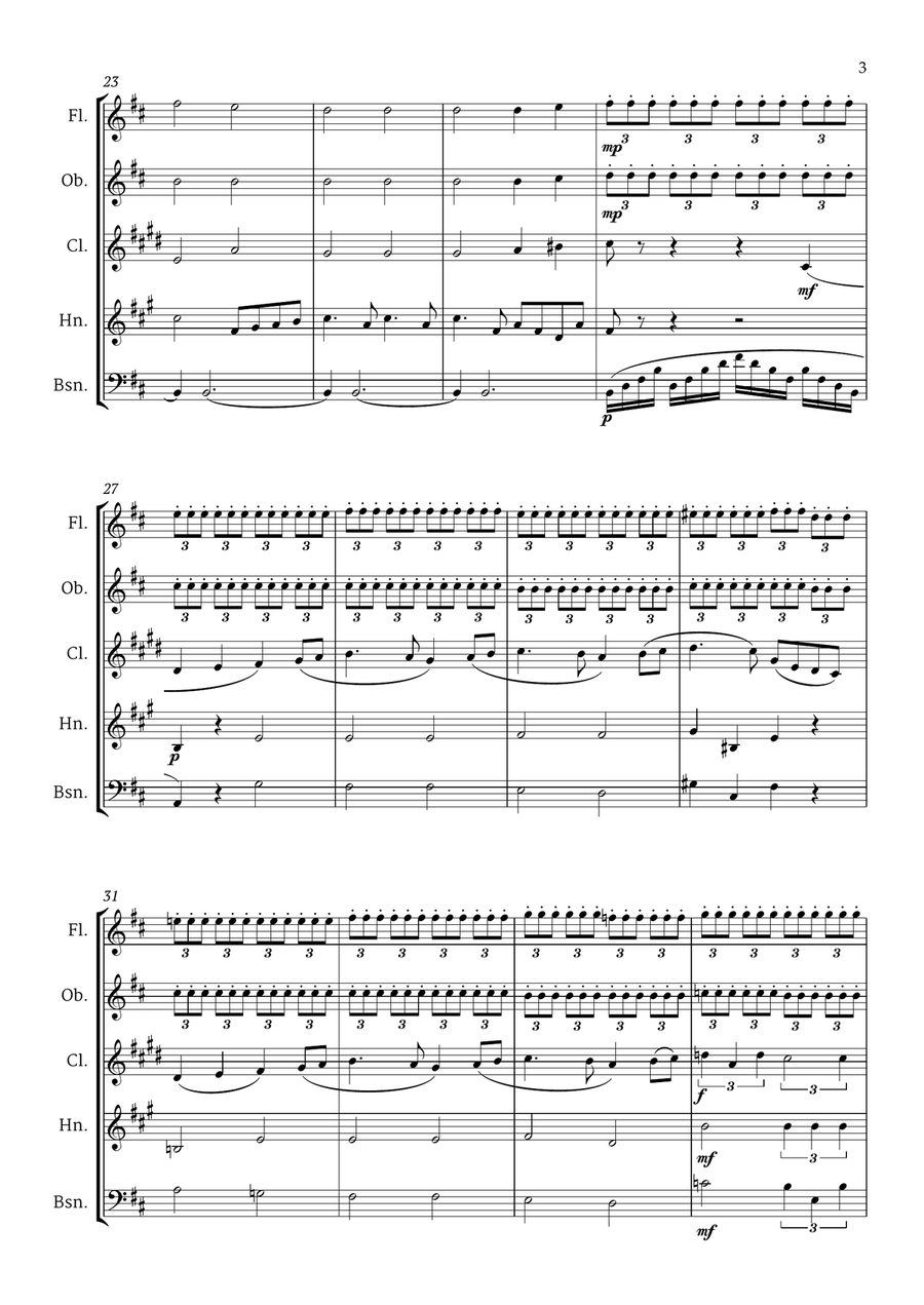 Top 5 Beautiful Classical Themes for Woodwind Quintet - 1st Version Woodwind Quintet scores gallery preview page 5