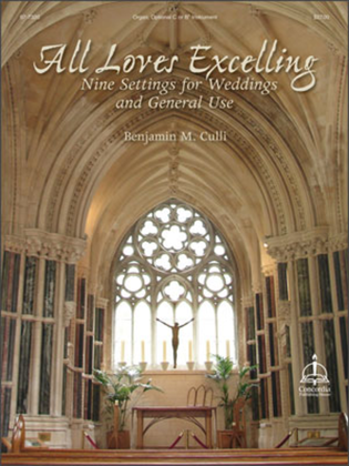 Book cover for All Loves Excelling