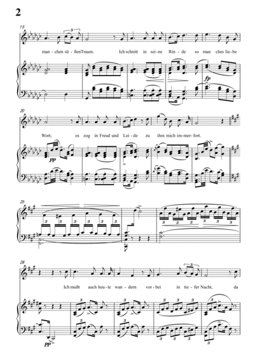 Schubert-Der Lindenbaum,Op.89,No.5 in bG for Vocal and Piano