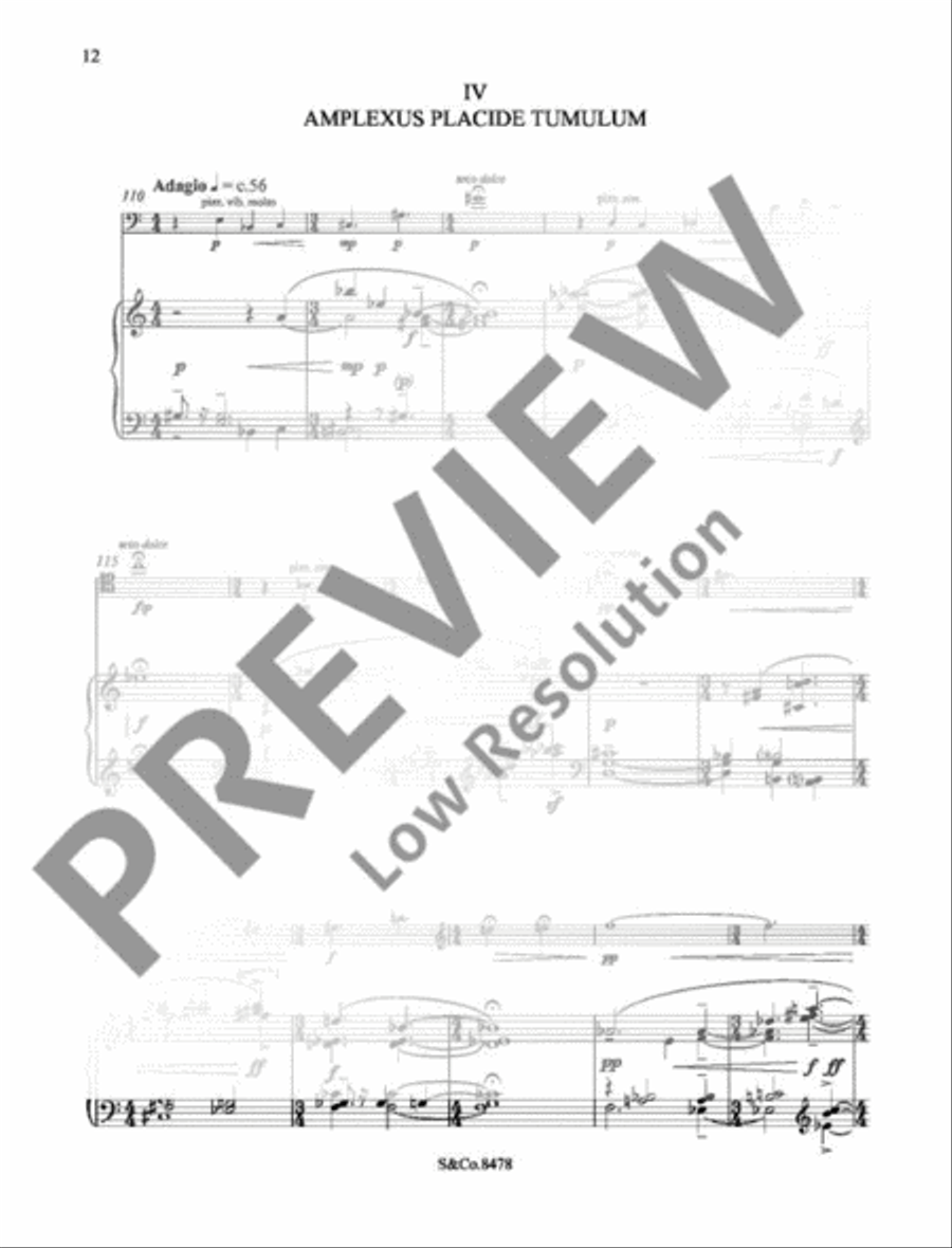 Sonata Piano Accompaniment scores gallery preview page 15