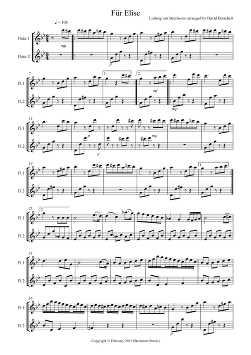 Für Elise for Flute Duet image number null