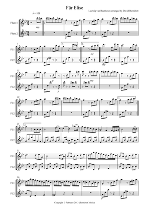 Für Elise for Flute Duet