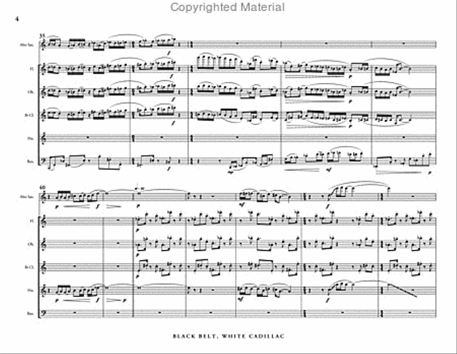 Black Belt, White Cadillac (score & parts) Woodwind Quintet scores gallery preview page 5