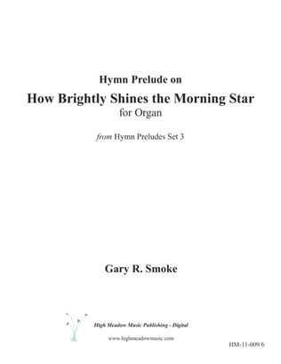 Book cover for How Brightly Shines the Morning Star