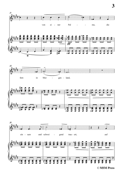 Liszt-Ein fichtenbaum stent einsam in c sharp minor,for Voice and Piano image number null