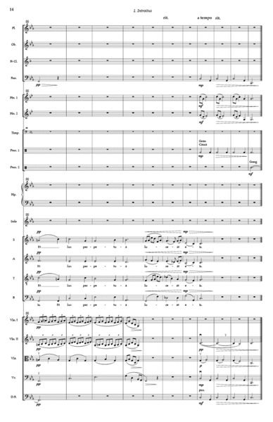 Requiem Novum (Orchestra Parts)