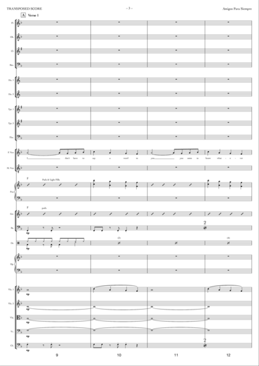 Amigos Para Siempre Full Orchestra scores gallery preview page 3