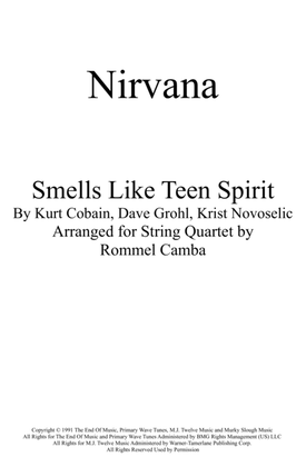 Book cover for Smells Like Teen Spirit