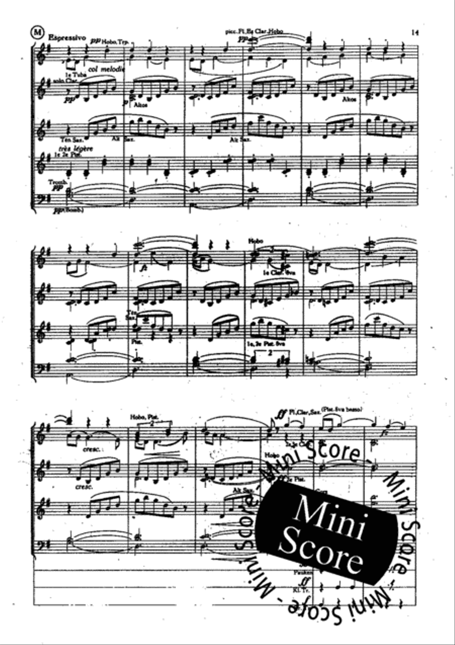 Fete Polonaise Concert Band scores gallery preview page 17
