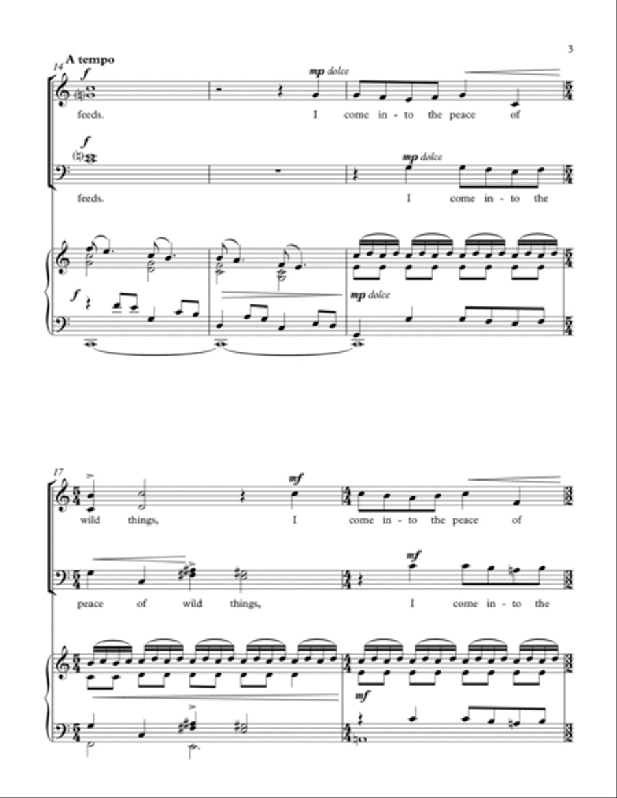 The Peace Of Wild Things 4-Part scores gallery preview page 5