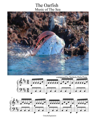 "The OarFish" Music of The Sea