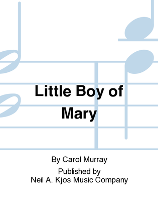 Book cover for Little Boy of Mary