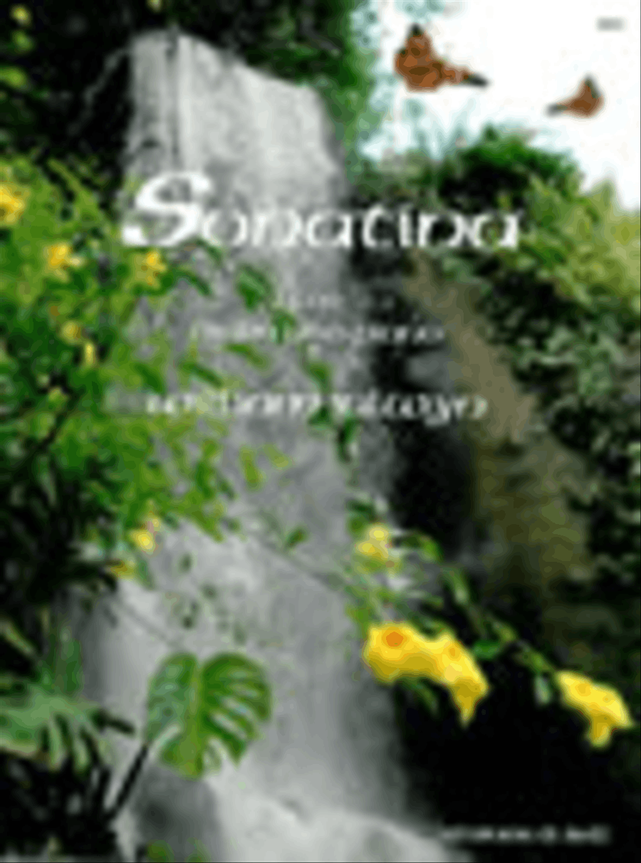 Sonatina for Violin & Piano Violin Solo scores gallery preview page 1