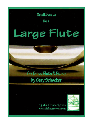 Book cover for Small Sonata for A Large Flute