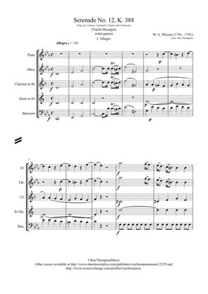 Book cover for Mozart: Serenade No.12 in C minor "Nachtmusik" K388 Mvt.I - wind quintet
