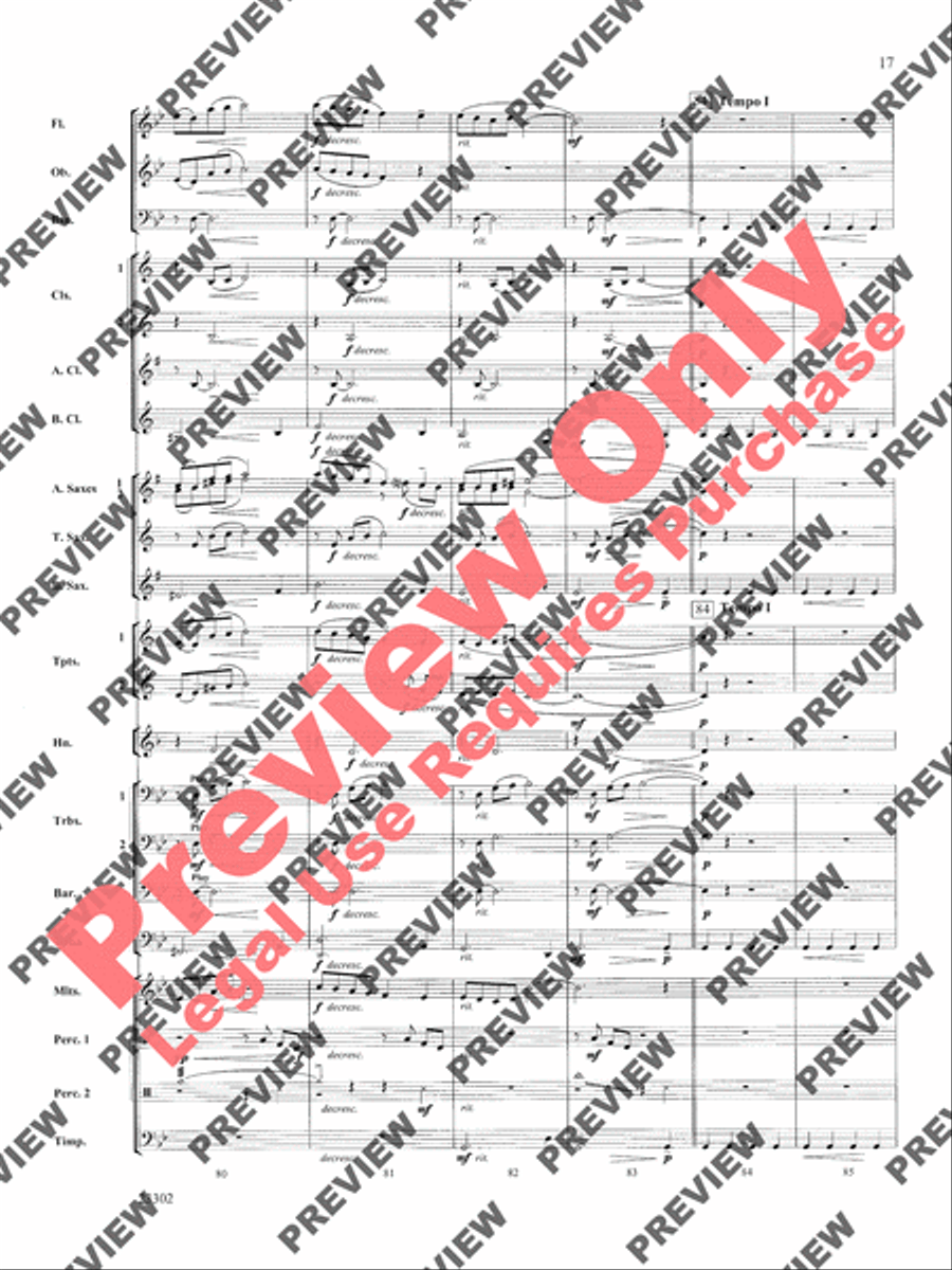 White Water Journey White Water Journey Concert Band scores gallery preview page 18