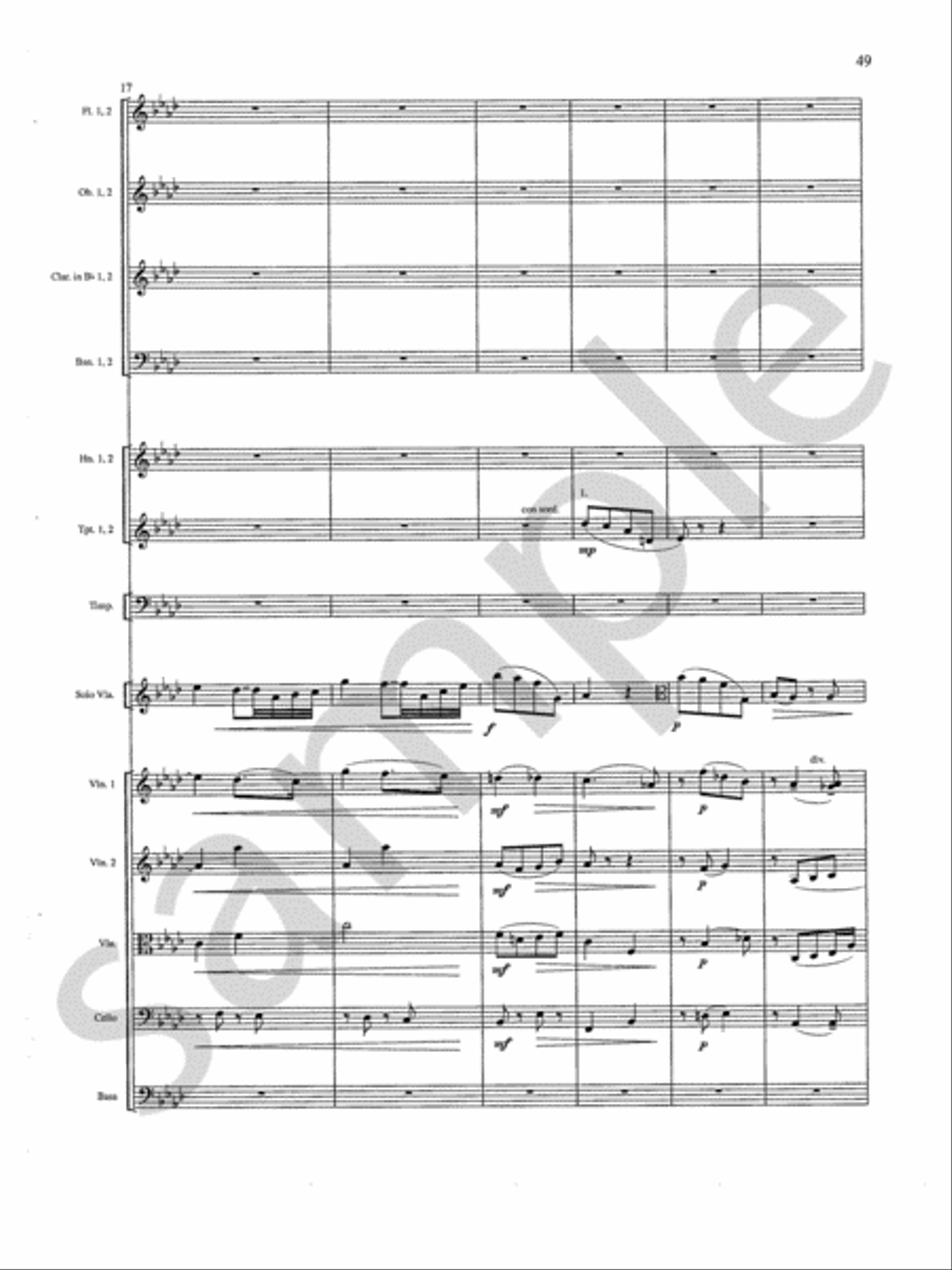 Concerto Orchestra scores gallery preview page 10