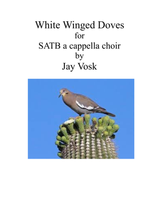 White Winged Doves