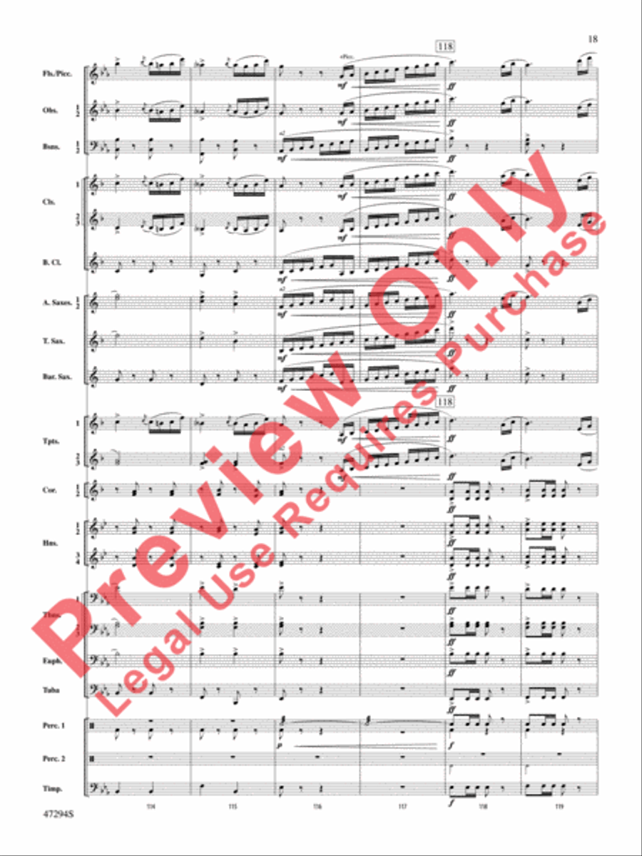 Scossa Elettrica Concert Band scores gallery preview page 19