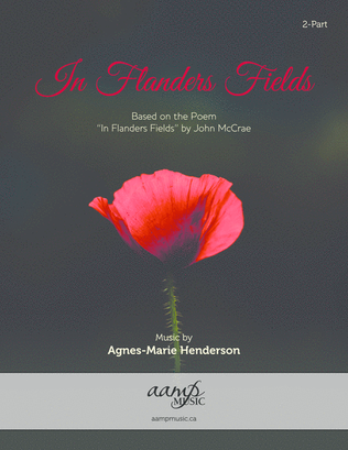 Book cover for In Flanders Fields