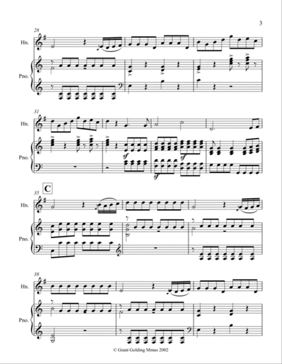 Queen of the Night Aria Horn Solo scores gallery preview page 3