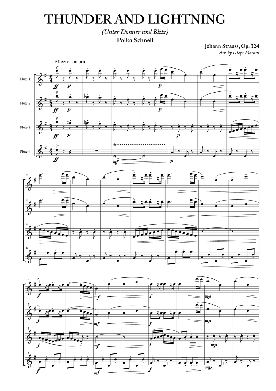 Thunder and Lightning for Flute Quartet Flute Quartet scores gallery preview page 3
