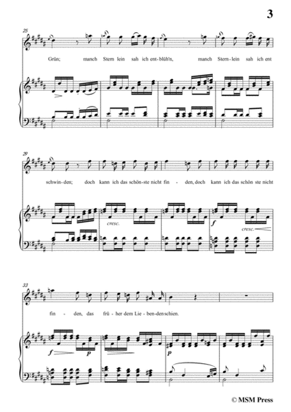 Schubert-Der Liebliche Stern,in B Major,for Voice&Piano image number null