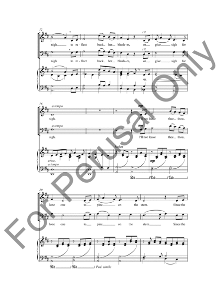 The Last Rose Of Summer 4-Part scores gallery preview page 3