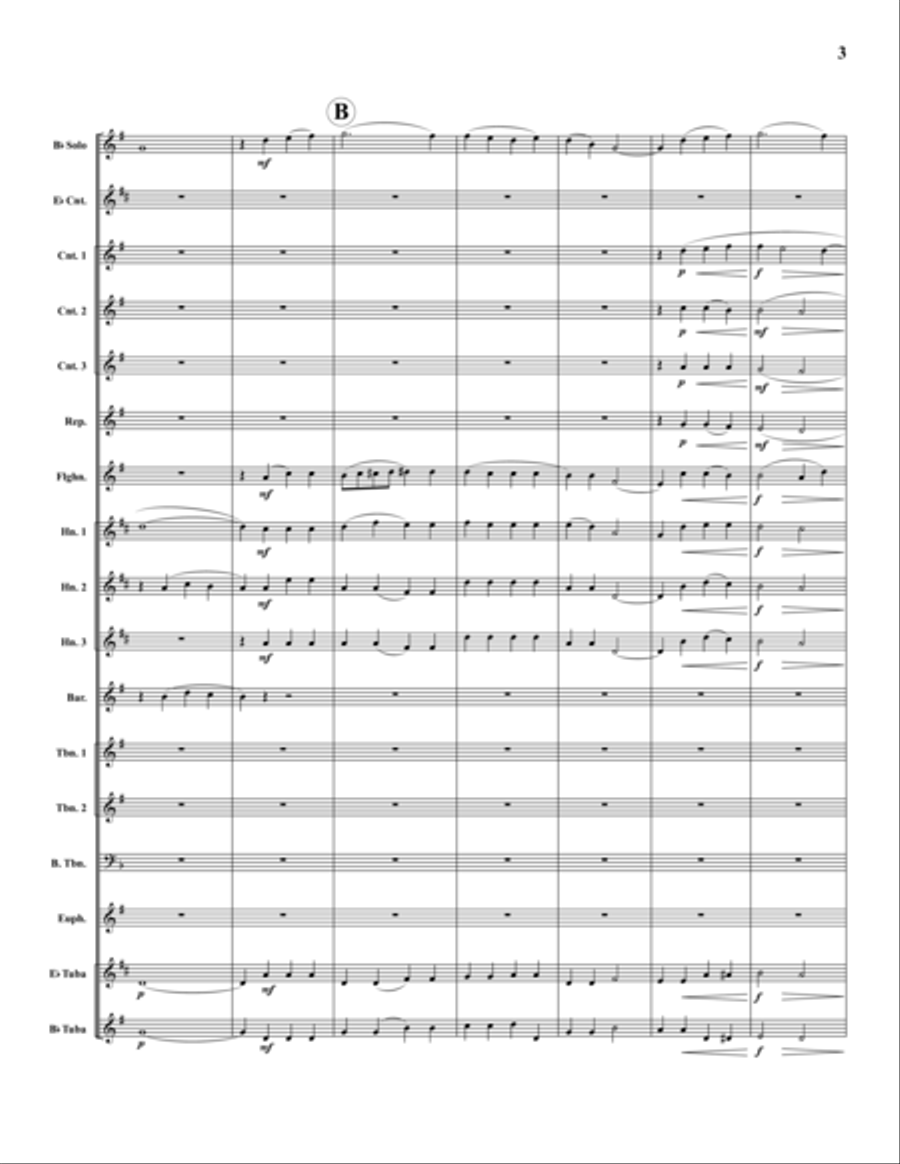 Danny Boy Danny Boy Brass Band scores gallery preview page 4