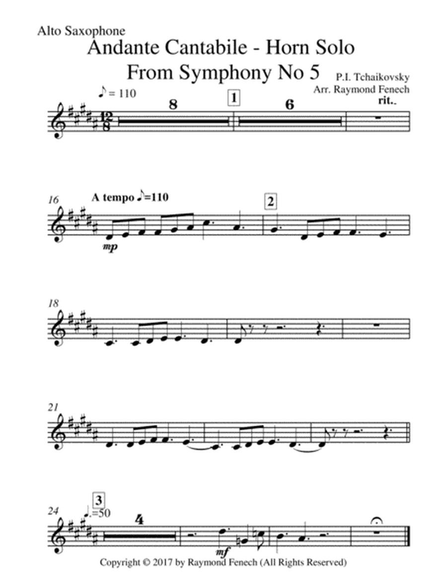 Andante Sostenuto - From Symphony No 5 2nd Movement (Concert Band and Solo Horn) image number null