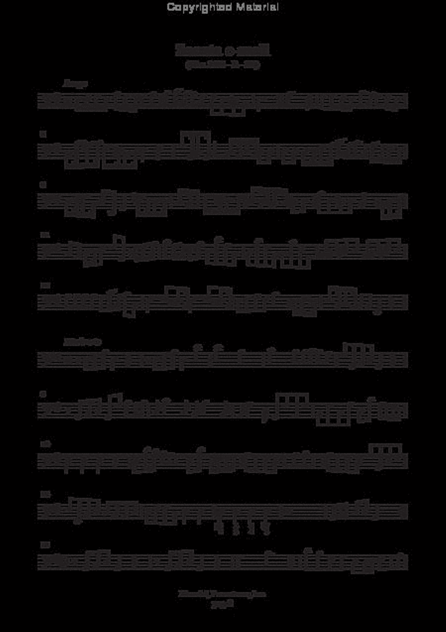 7 Sonate (Ms, D-Dl) Violin scores gallery preview page 4