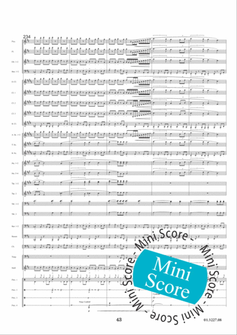 The Legend of Maracaibo The Legend of Maracaibo Concert Band scores gallery preview page 47