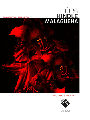 Book cover for Flamenco Inspiration - Malagueña