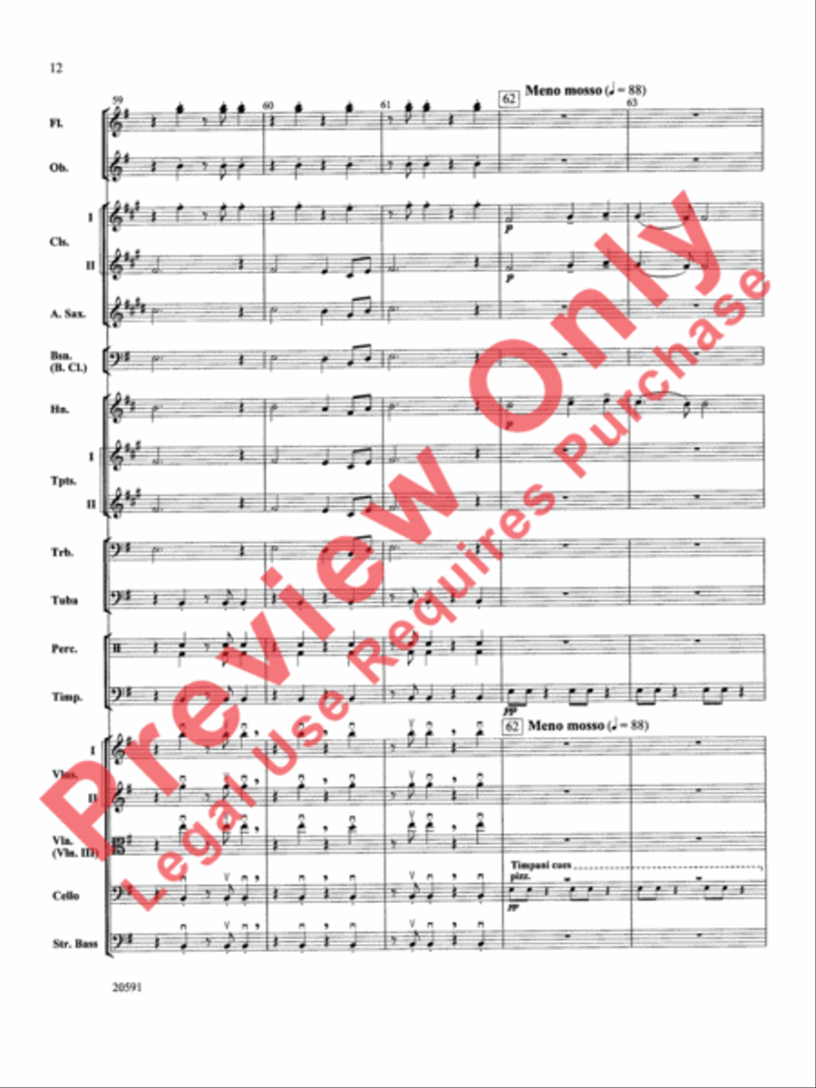 New World Symphony (Fourth Movement) Full Orchestra scores gallery preview page 13