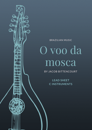 O Voo Da Mosca