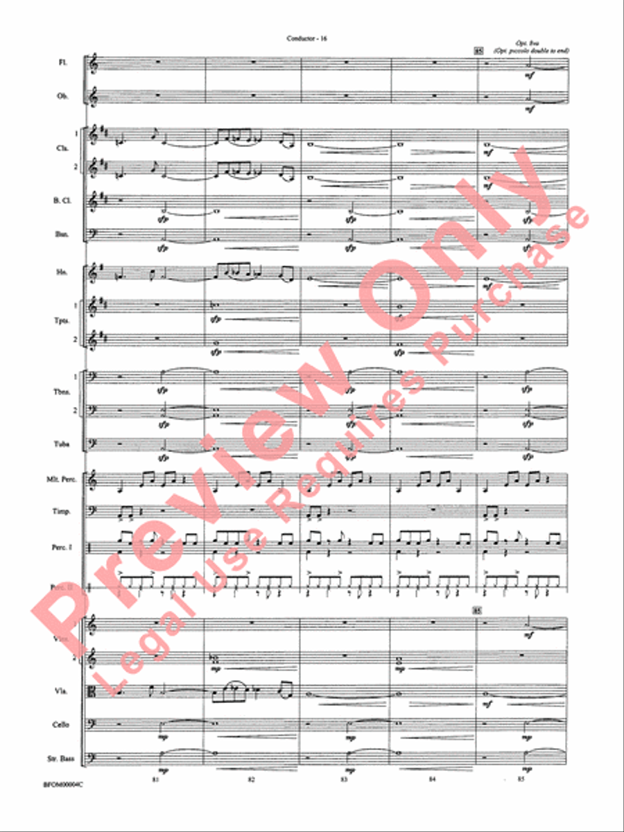 Rites of Tamburo Rites of Tamburo Full Orchestra scores gallery preview page 19
