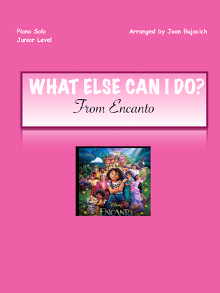 Book cover for What Else Can I Do?
