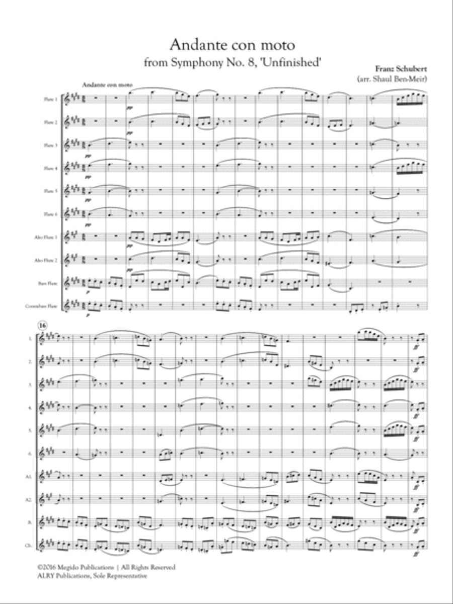 Andante con moto from Symphony No. 8 for Flute Orchestra Flute Choir scores gallery preview page 2