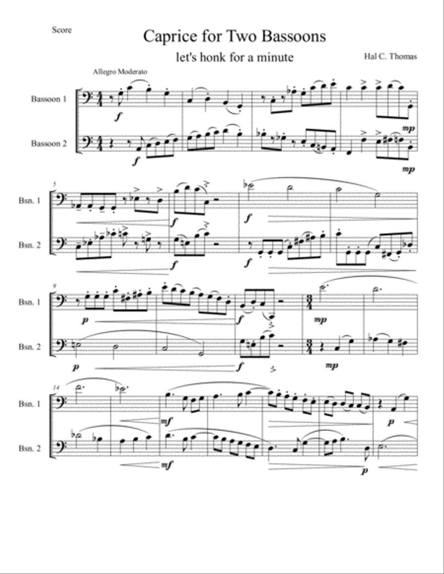 Caprice for two Bassoons Bassoon Solo scores gallery preview page 1