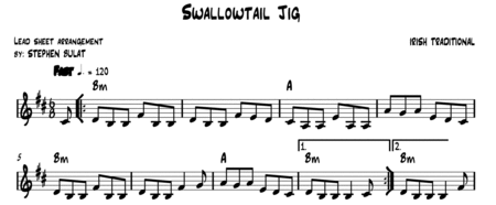 Swallowtail Jig (Irish Traditional) - Lead sheet (key of Bm)