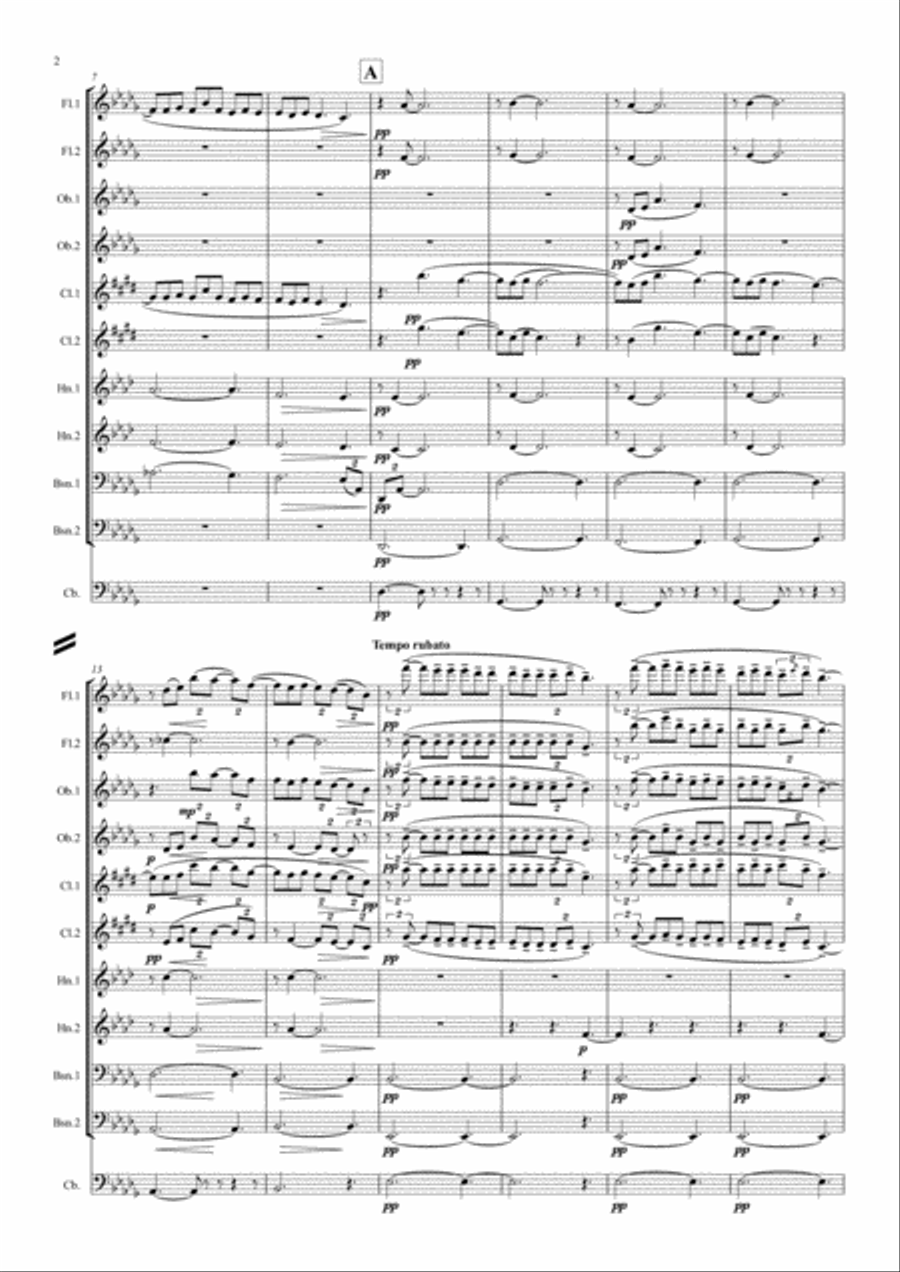 Debussy: Suite Bergamasque Mvt.3 Clair de Lune - wind dectet (& bass) School and Community scores gallery preview page 2