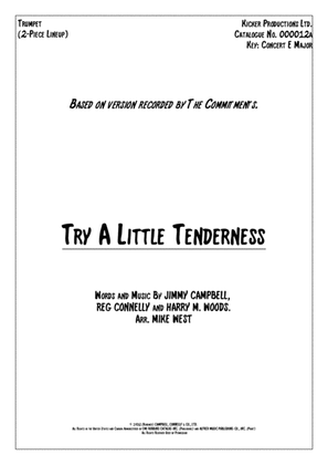 Book cover for Try A Little Tenderness