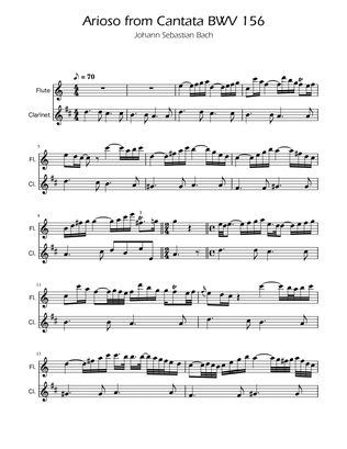 Arioso BWV 156 - Flute and Clarinet Duet