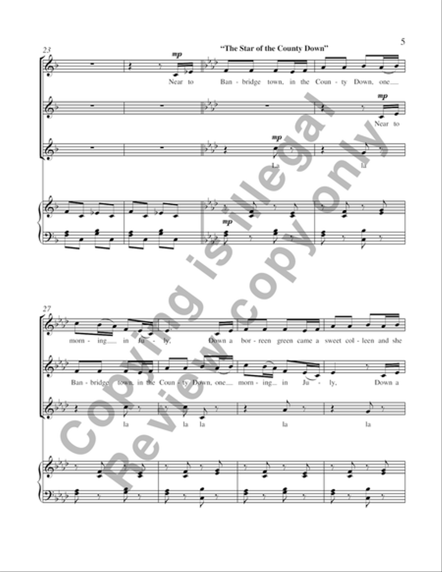 The Cat's Ramble (Medley of Irish Melodies) SSA scores gallery preview page 12