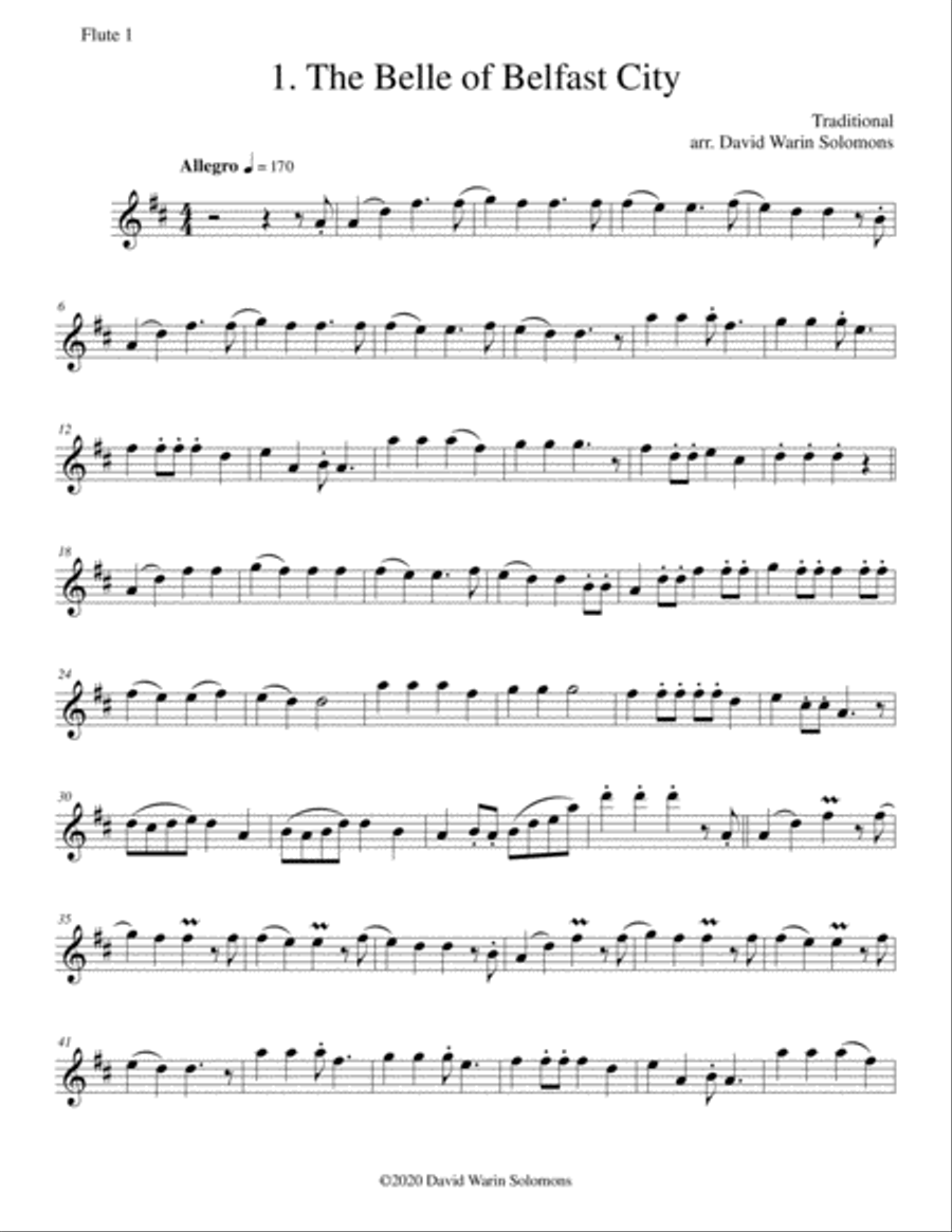 12 Flute duos based on Folksongs and Old Time Music Hall songs Flute Duet scores gallery preview page 4